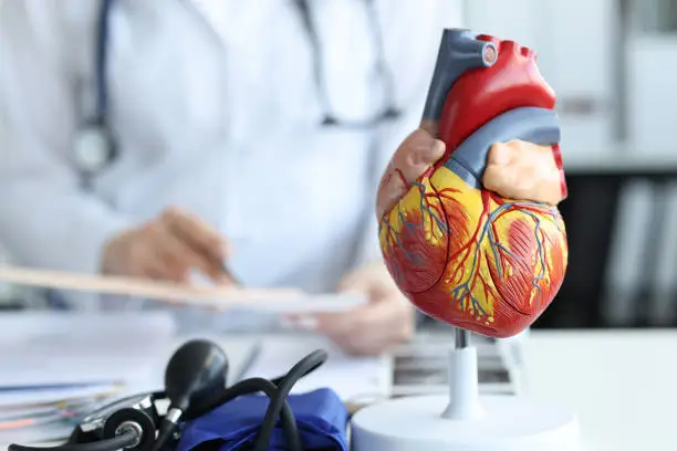 Vascular em Atibaia - Clínica JCG Clínica de Cardiologistas em Atibaia